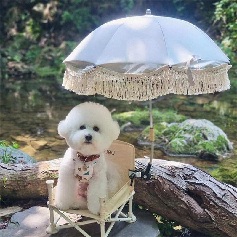 Properti fotografi anak payung - Kids Outdoor Umbrella ulasan dan harga
